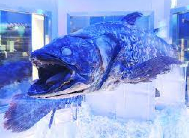 サンプルショップ3